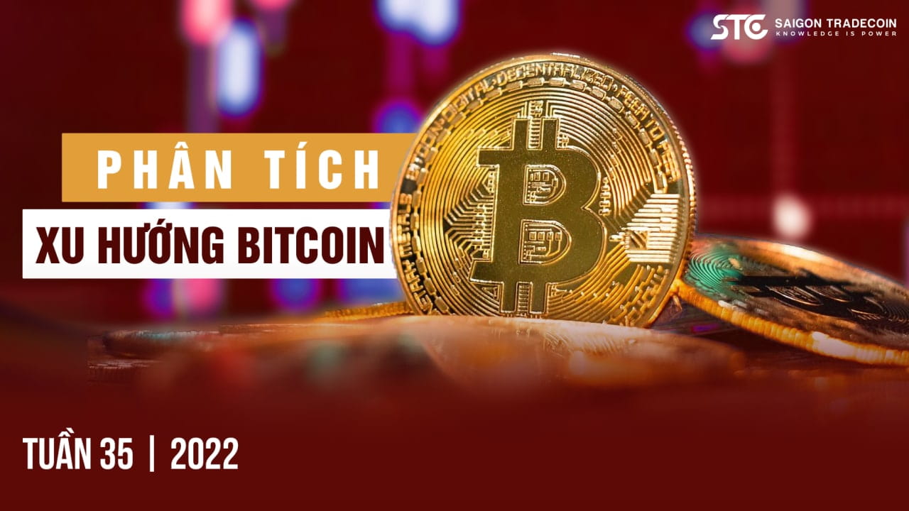 Phân tích xu hướng giá Bitcoin tuần thứ 35 năm 2022