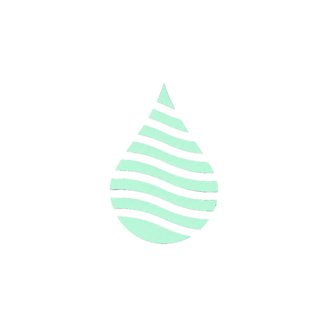 TNOS Icon