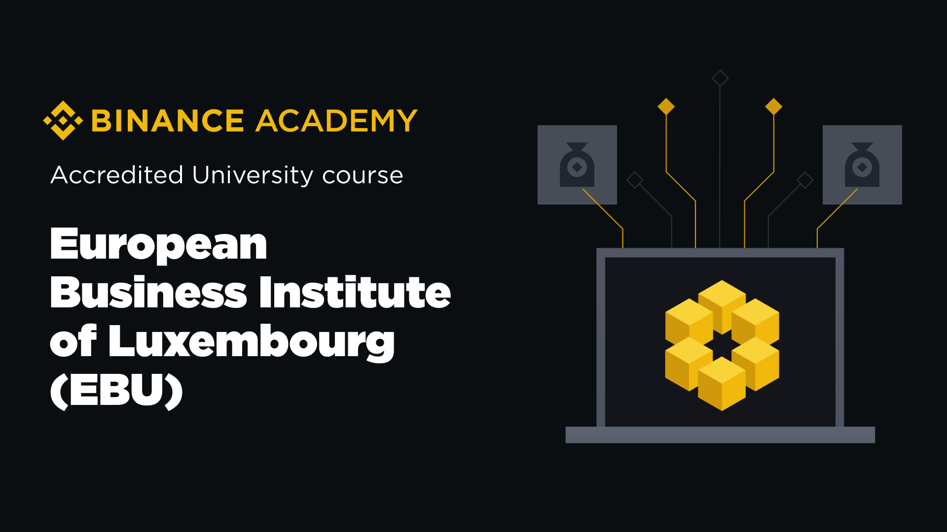 Crypto Courses | Learn Blockchain & Web3 for Free